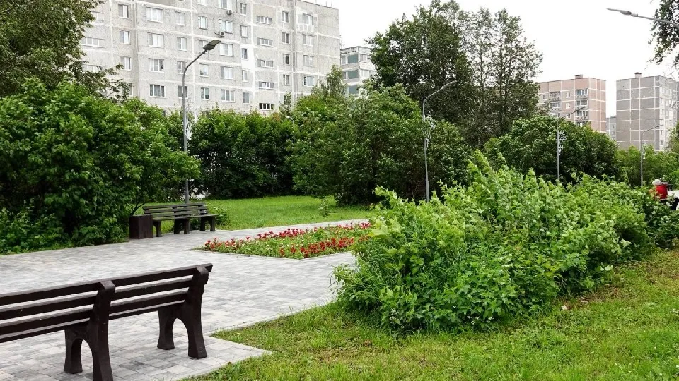 Фото: Дарья Леонова