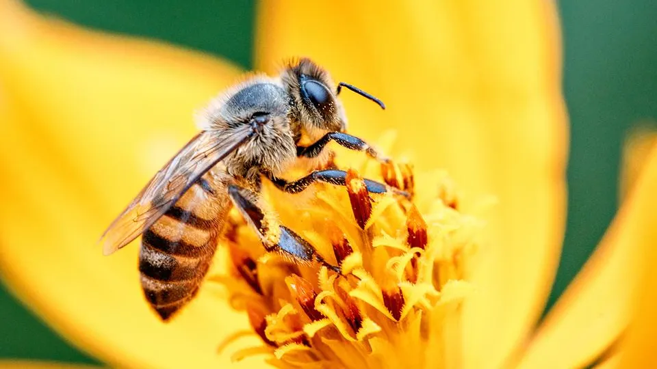 Фото: istockphoto.com