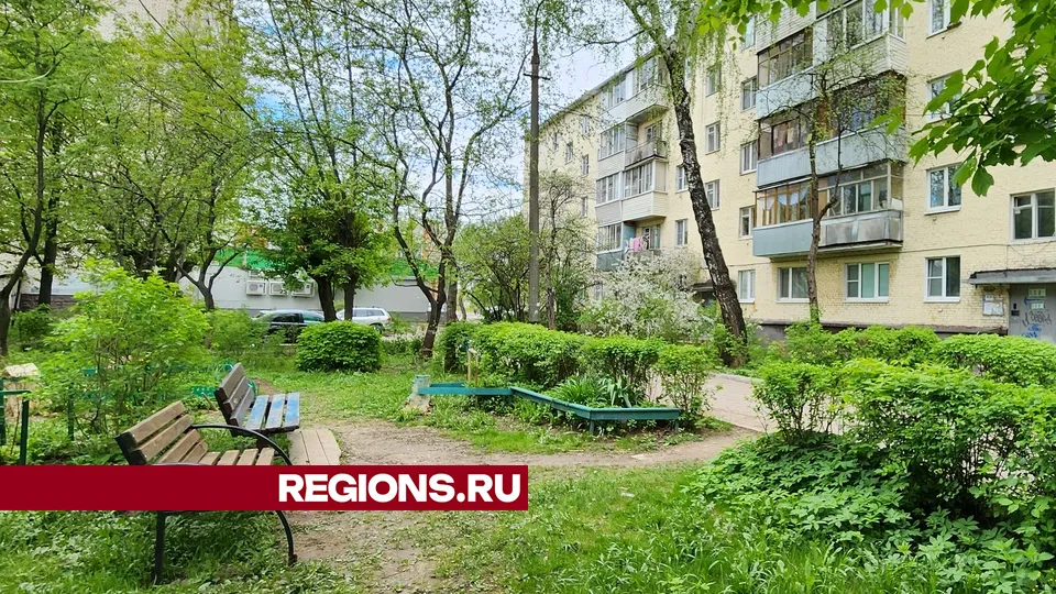 Фото: Мария Андрюхина