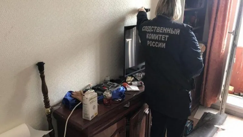 ГСУ СКР по МО