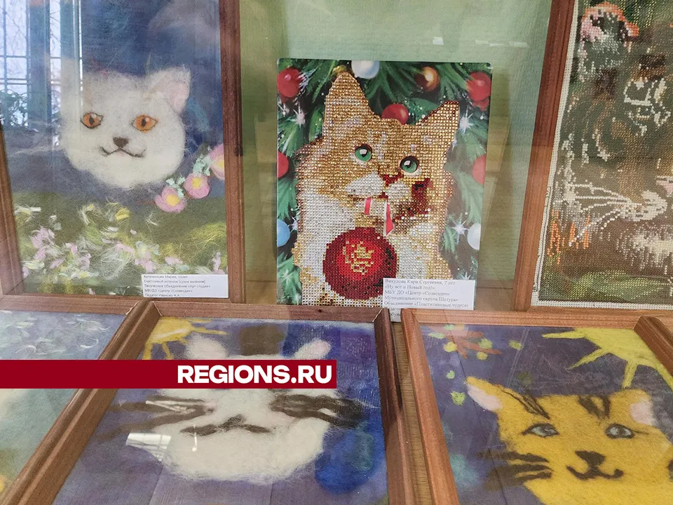 Фото: Вера Коренева