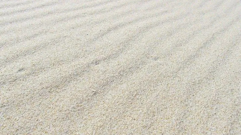 Белоснежный песок завозят на подмосковные пляжи