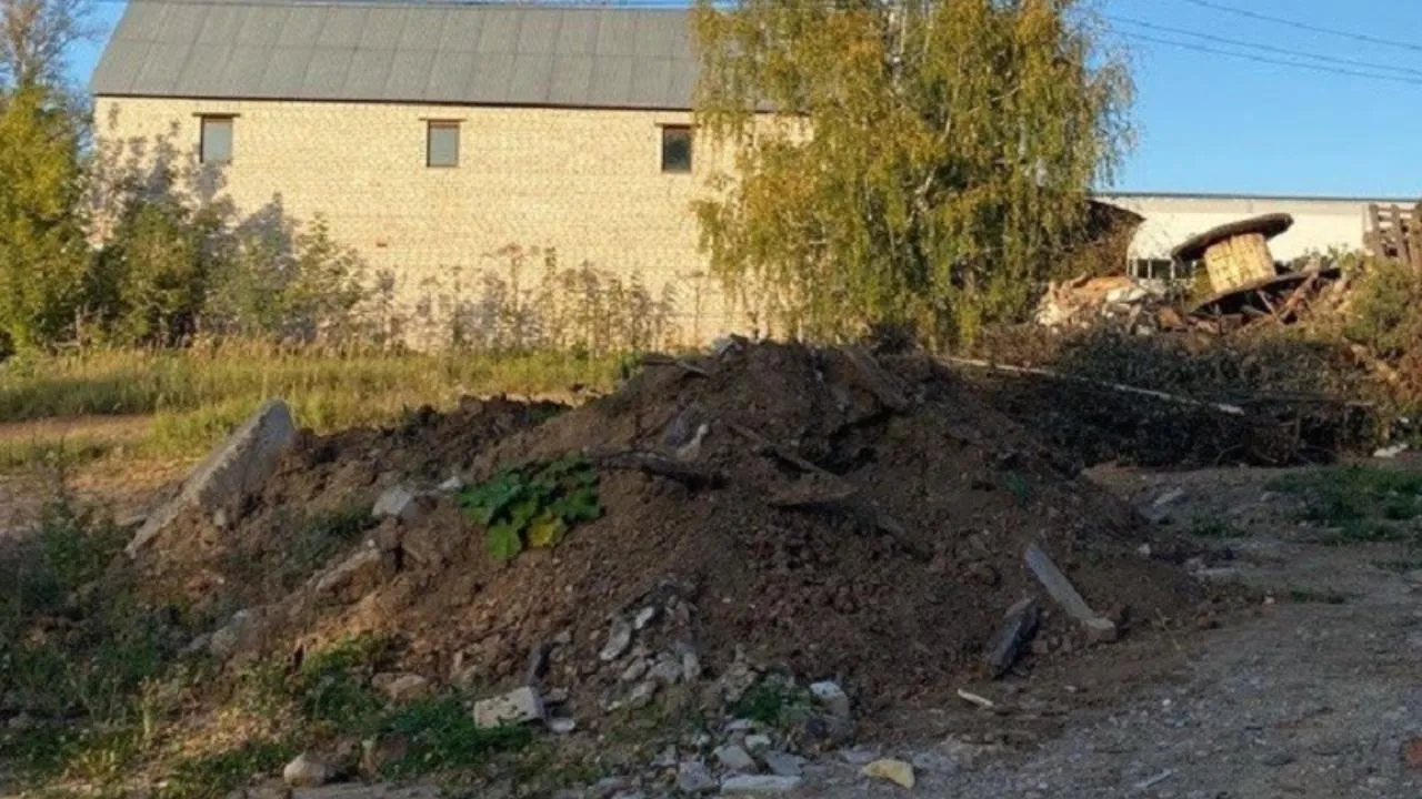 Более 1,1 тысячи несанкционированных свалок ликвидировали в Подмосковье с января