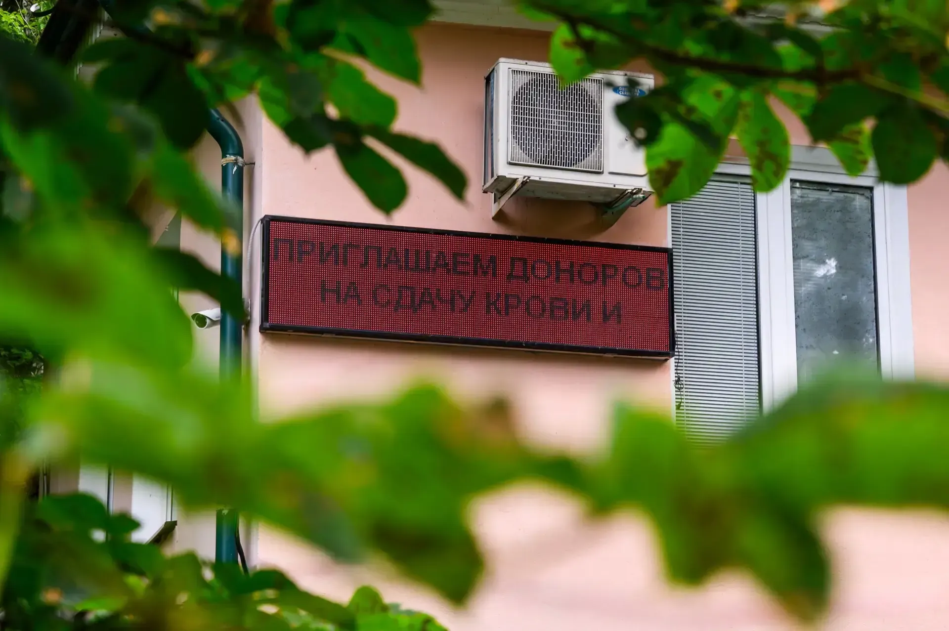 Московский областной центр крови