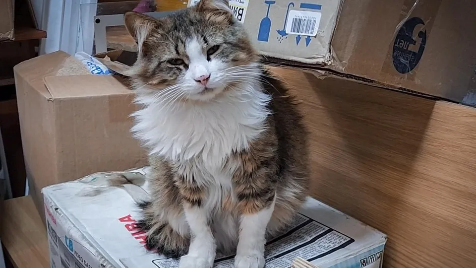 Фото: Ольга Антонова