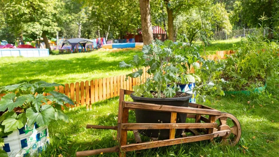 Фото: пресс-служба администрации г.о. Лыткарино