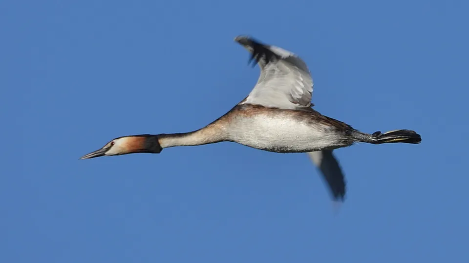 Фото: из личного архива Бориса Короткова