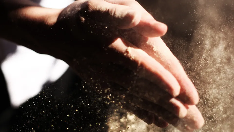 Фото: pxhere.com