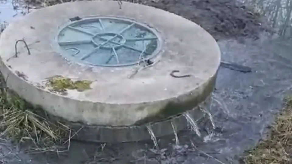 Фото: Минэкологии МО