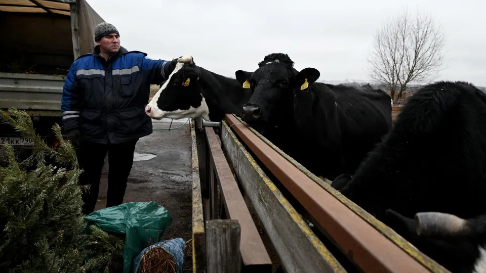 Фото: пресс-служба администрации г.о. Ленинский