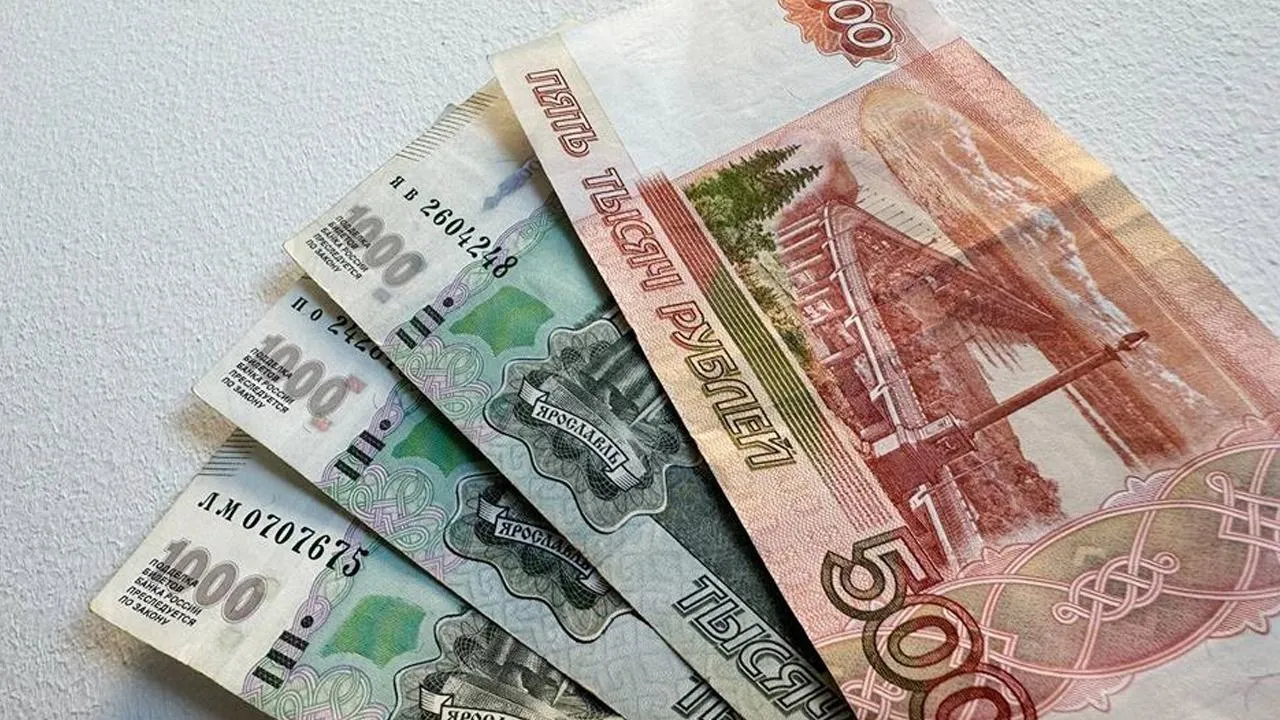 Блогер Елена Блиновская погасила задолженность в 320 млн рублей