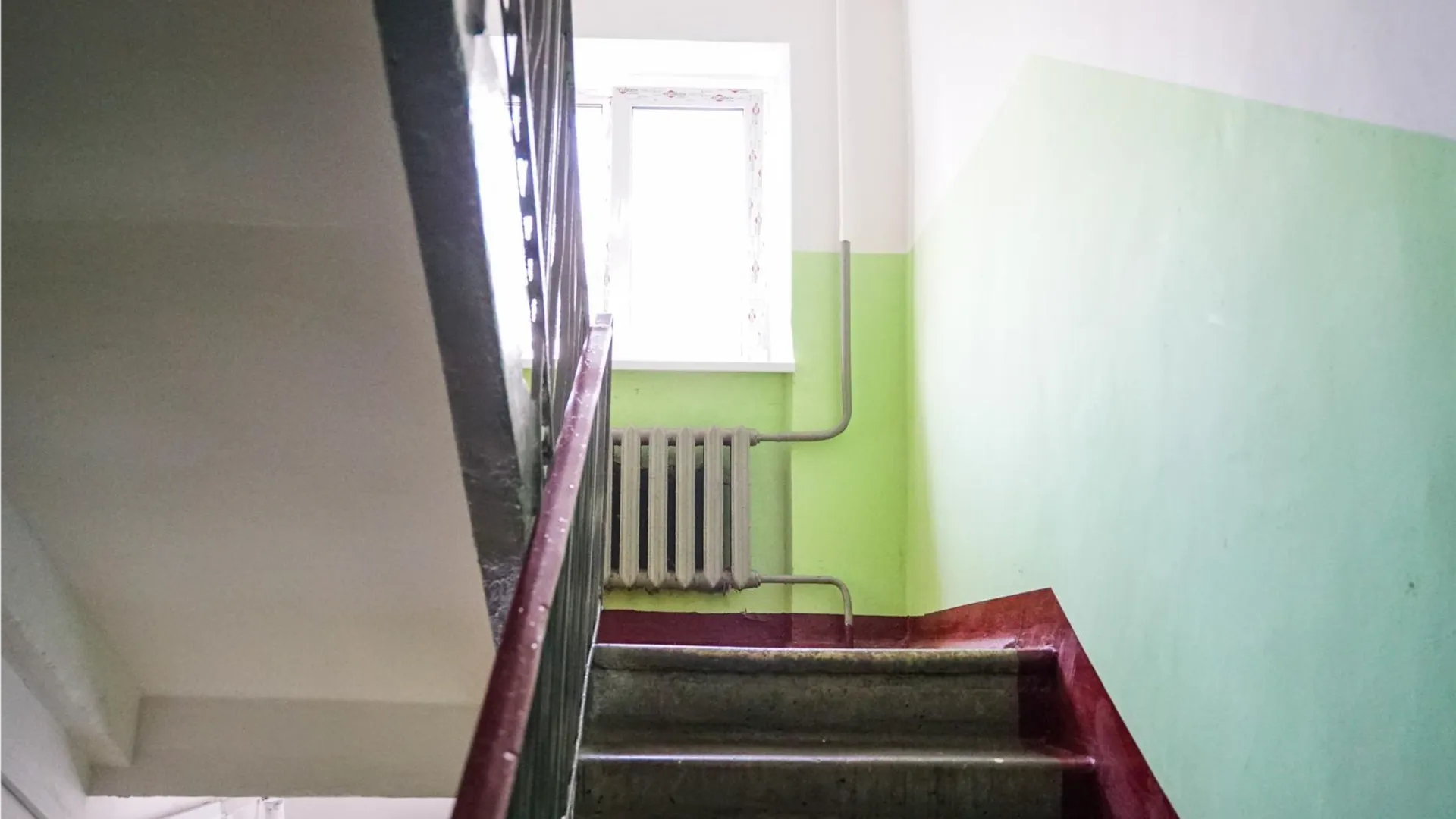 Фото: пресс-служба администрации г.о. Химки