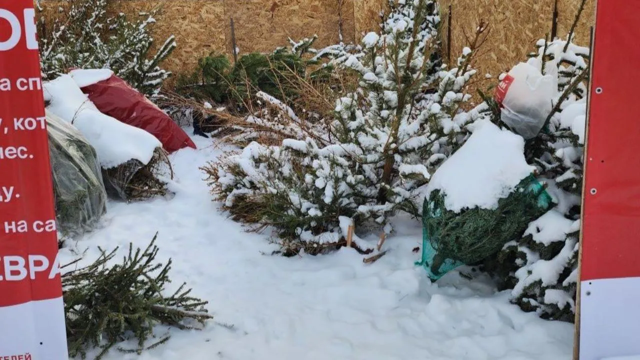 МедиаБанк Подмосковья/Роман Савельев