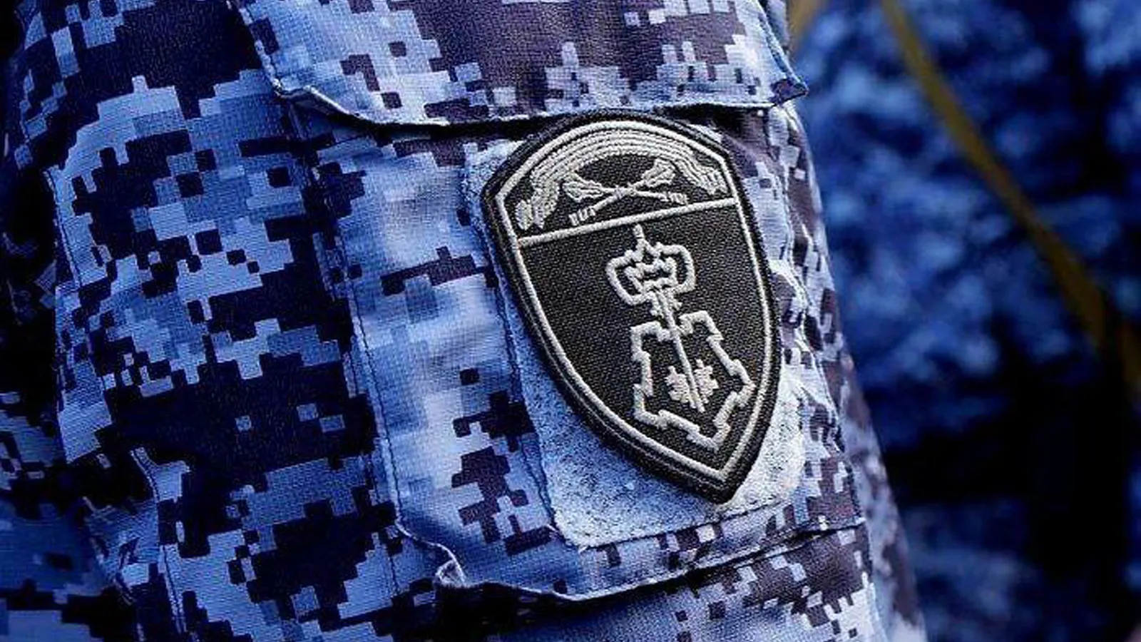 Фото: ГУ Росгвардии по Московской области