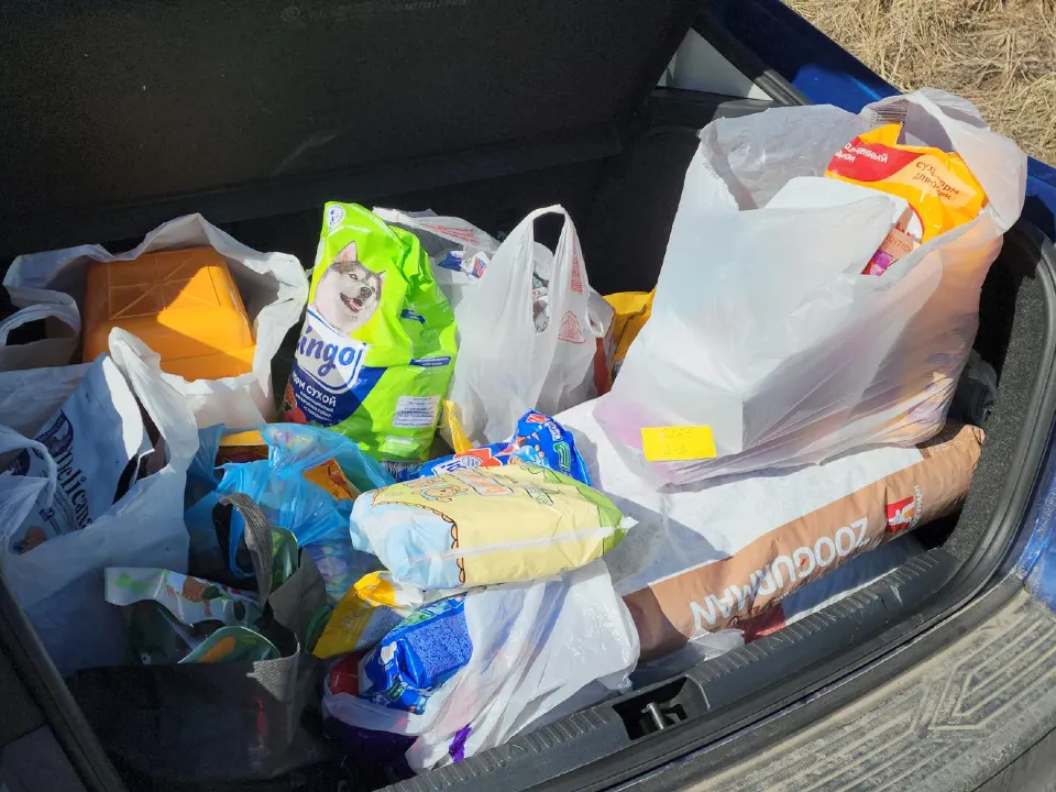 Фото: REGIONS/Артем Мишуков