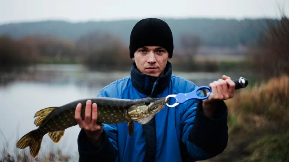 Фото: freepik.com