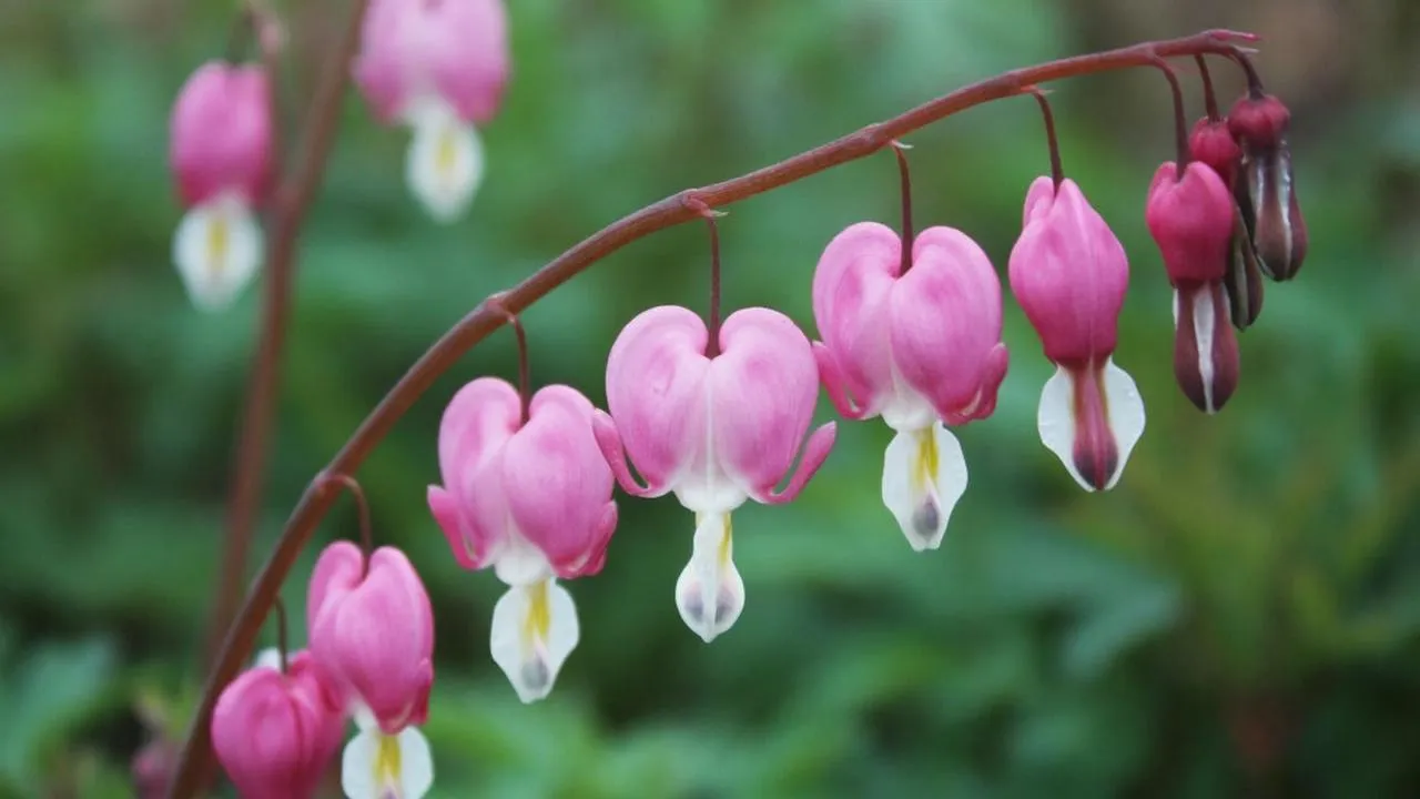 REGIONS/Сгенерировано нейросетью