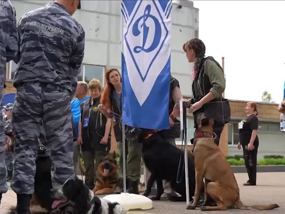 Фото: Щелковское телевидение