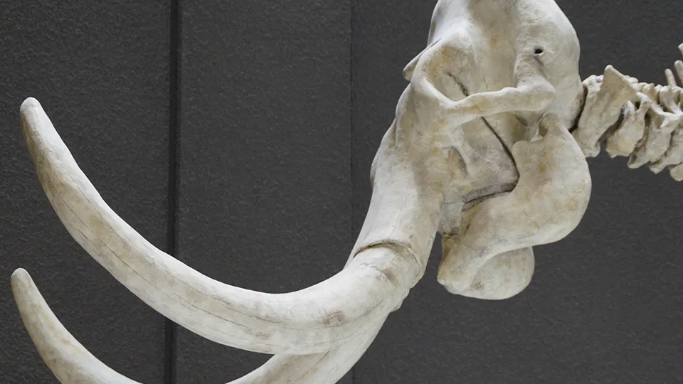 Фото: pxhere.com