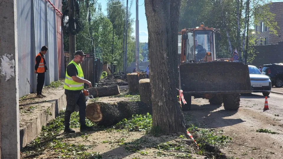 Фото: МедиаБанк Подмосковья/Елена Шумакова