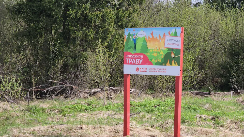 Фото: МедиаБанк Подмосковья/Екатерина Данилина