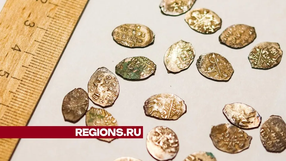 Фото: МедиаБанк Подмосковья/Данила Кирьянов