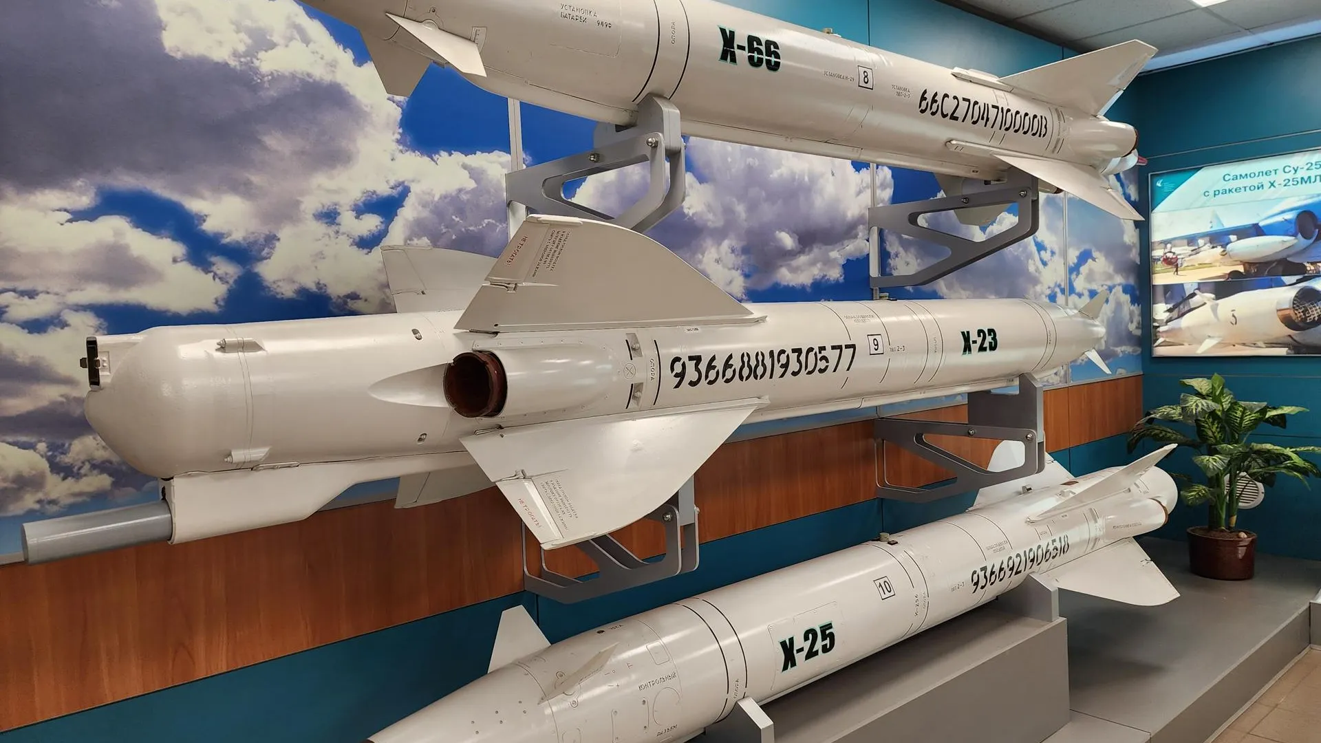 Фото: Роман Савельев