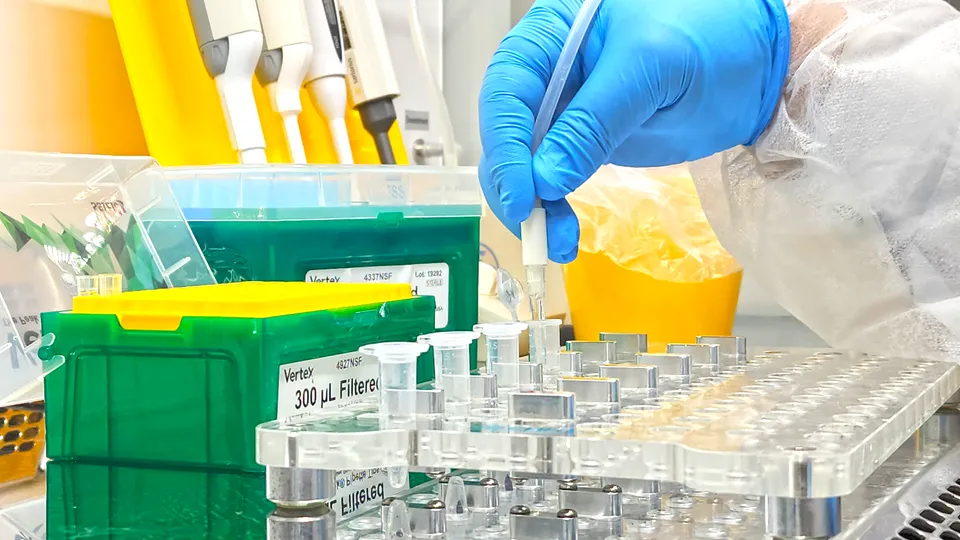 Фото: Валерия Тингаева