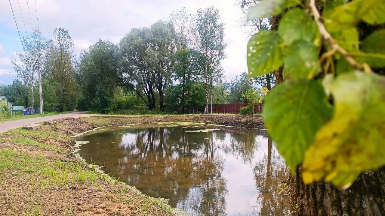 Фото: Яна Шаливская