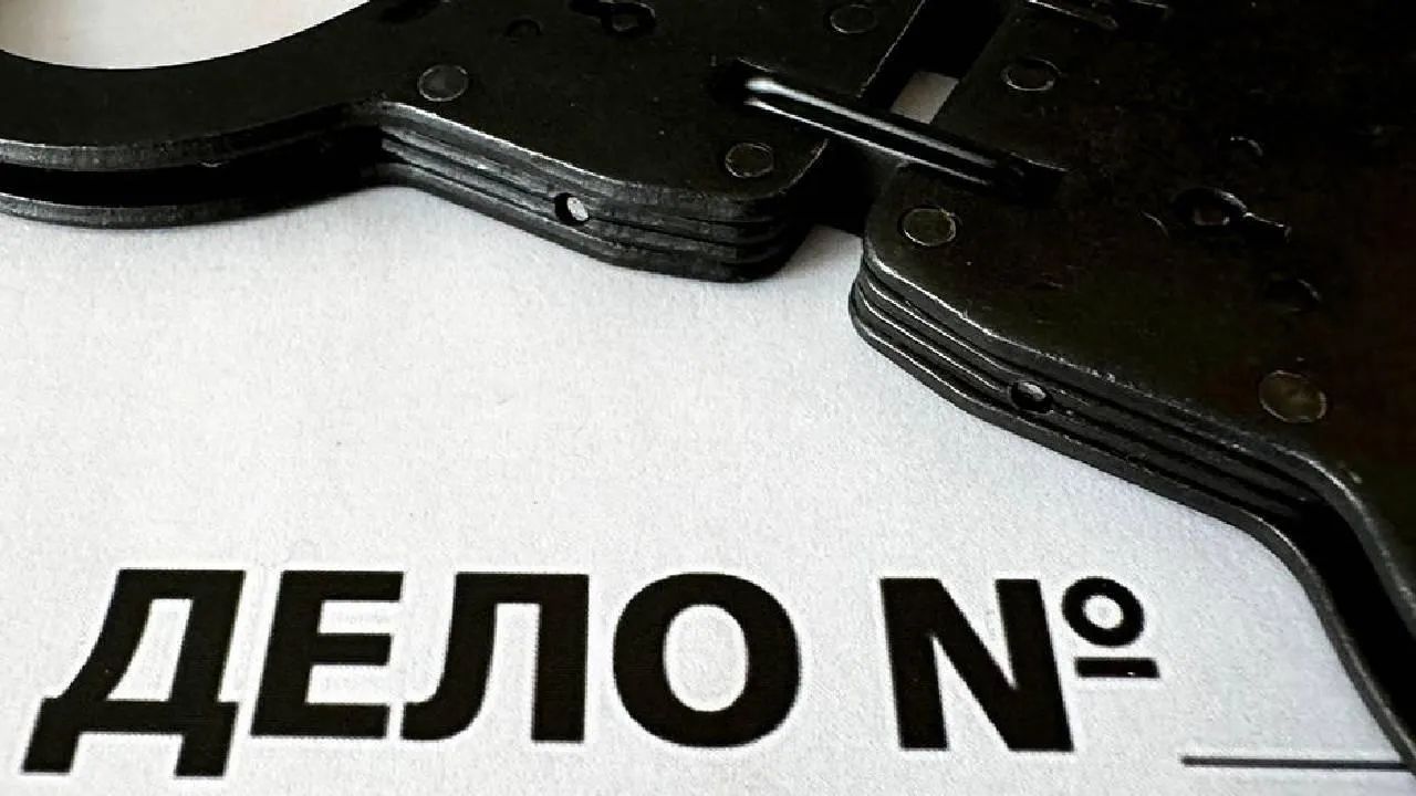 «Доходы не сошлись с расходами»: проверка чиновника из Росприроднадзора обернулась конфискацией имущества