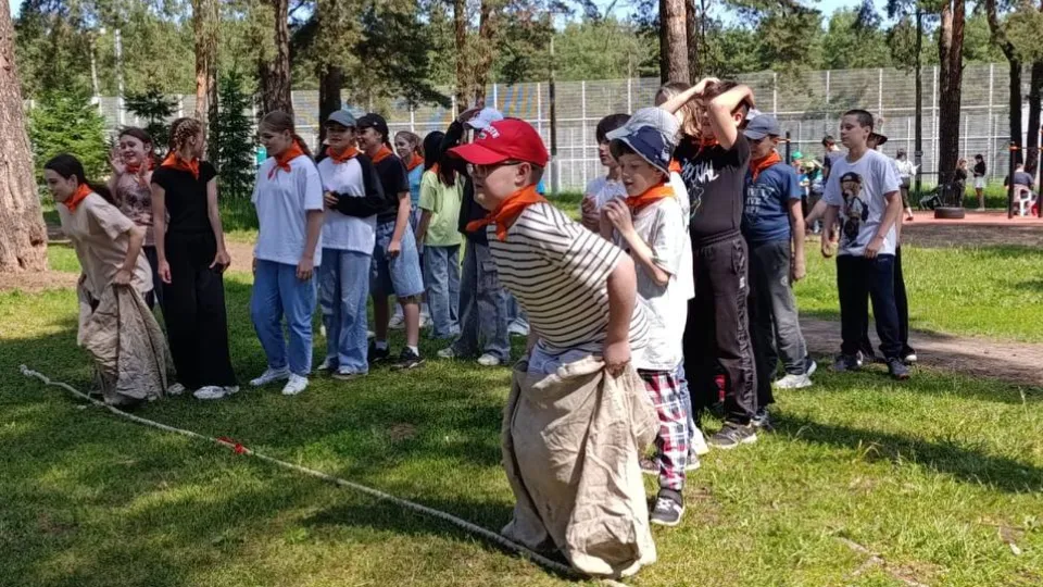 Фото: Кузьминский лесопарк