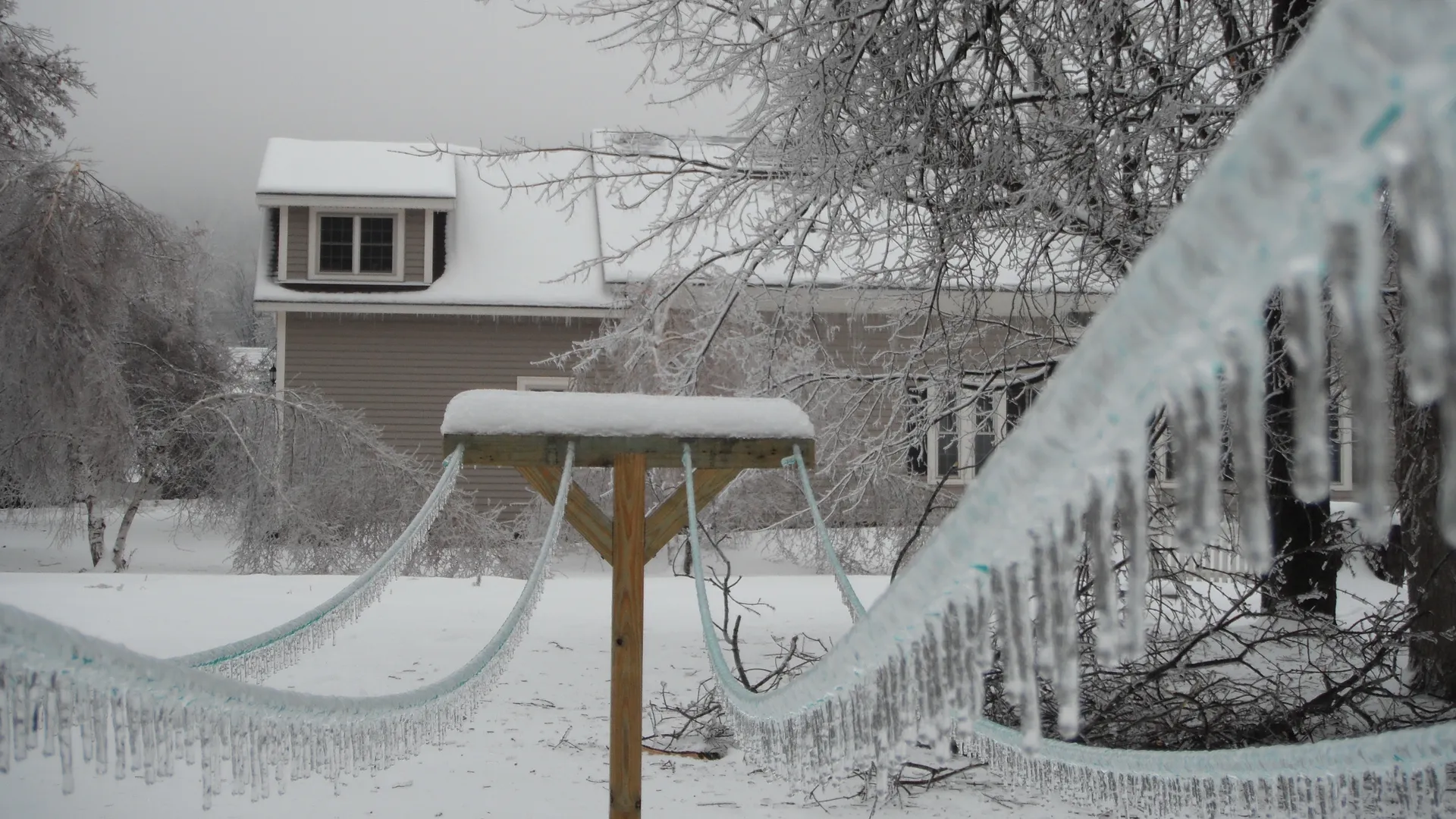 Фото: https://pxhere.com/ru