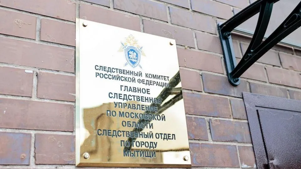 Фото: Пресс-служба администрации городского округа Мытищи