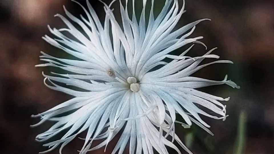 Фото: Василий Потапов