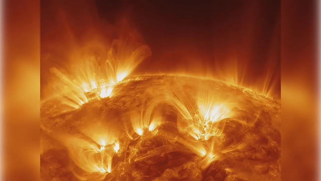 Фото: istockphoto.com/murat4art