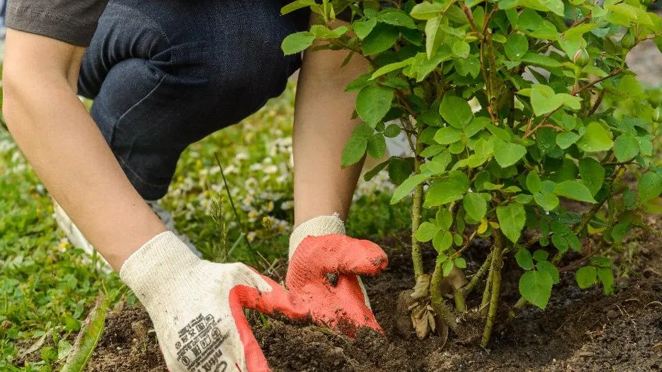 медиасток.рф