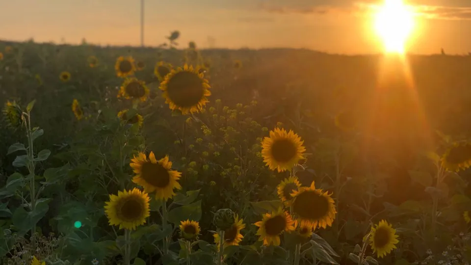 Фото: REGIONS/Юлия Габбасова