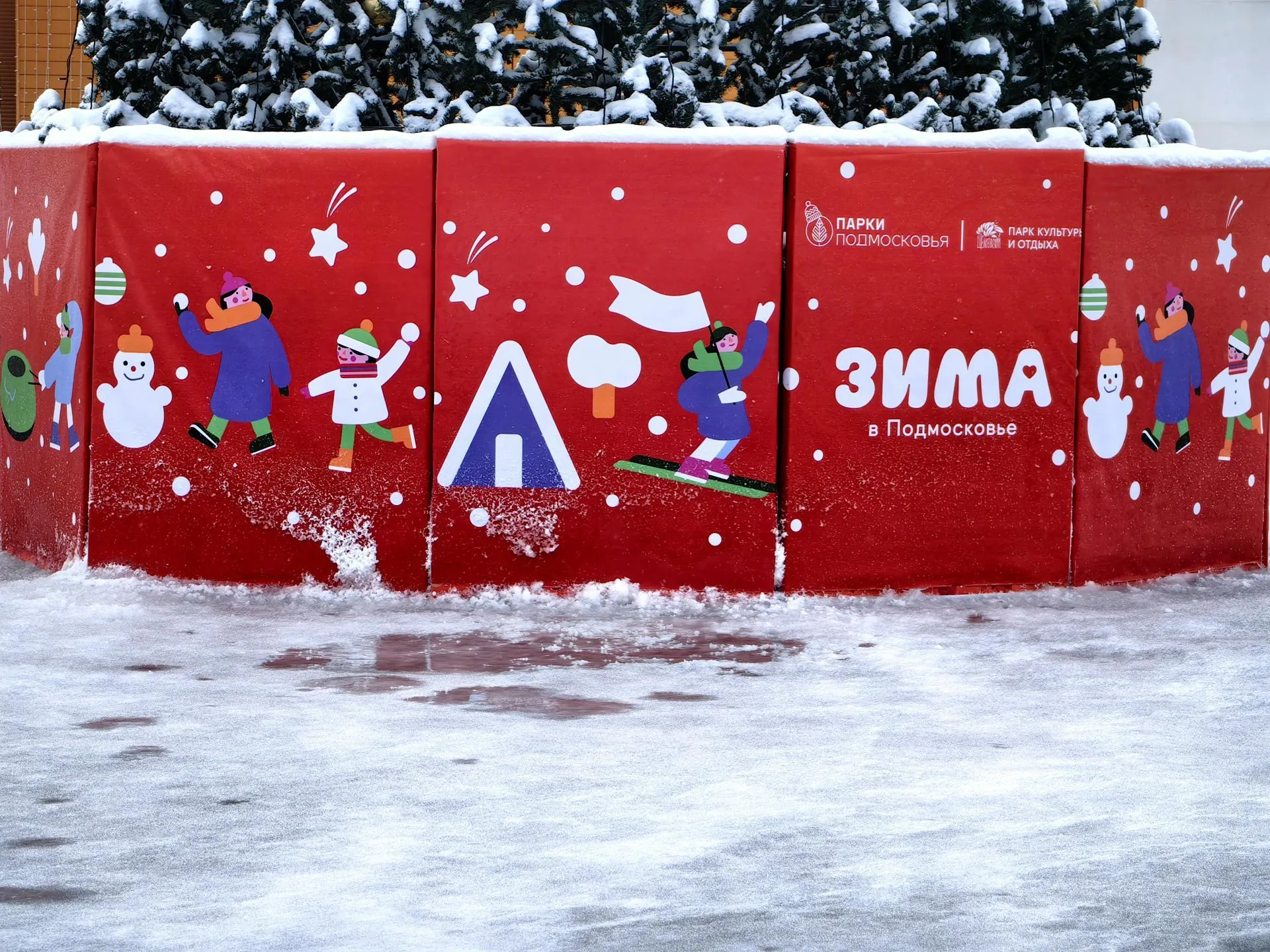 Елена Катасонова