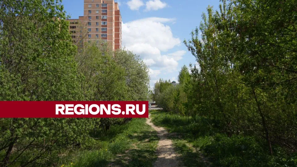 Фото: Дмитрий Зайчиков