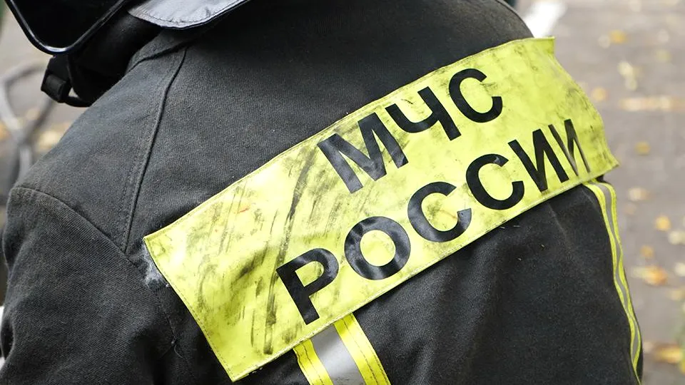 Фото: REGIONS/Анна Быкова