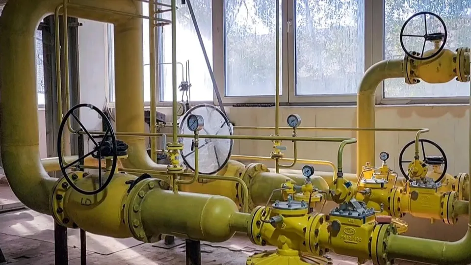 Фото: МедиаБанк Подмосковья/Ольга Антонова