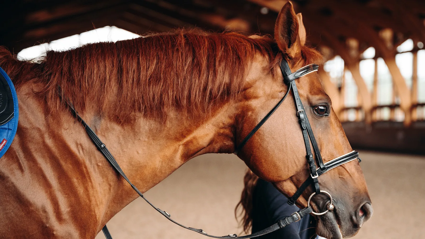 Фото: пресс-служба Администрации г.о. Щелково