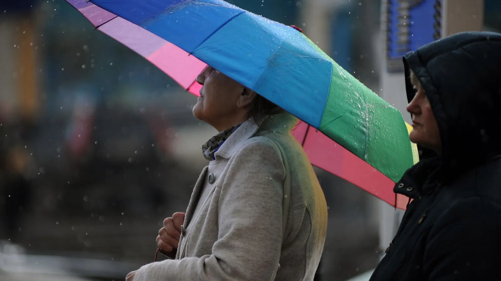 Фото: медиасток.рф