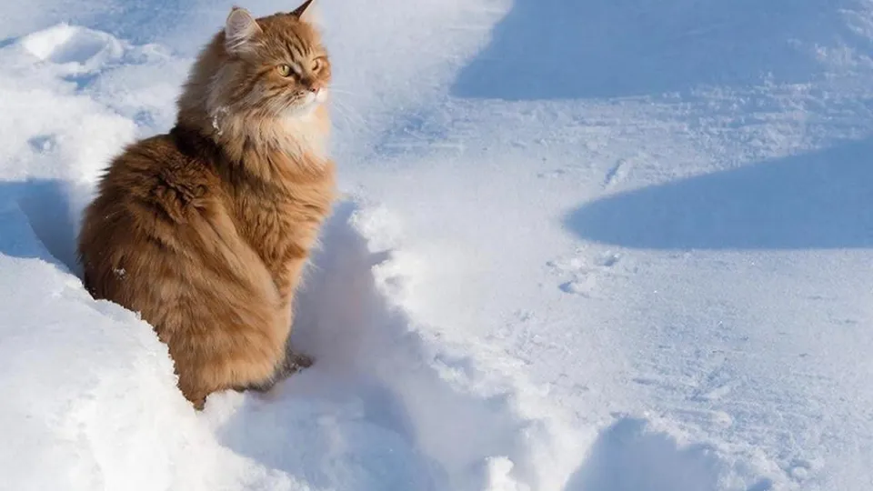 Фото: REGIONS/Сгенерировано нейросетью