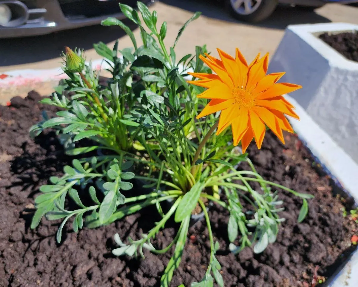 Фото: Яна Шаливская