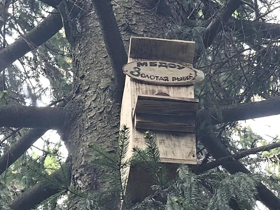 Фото: МБУК  «Городской парк культуры и отдыха»