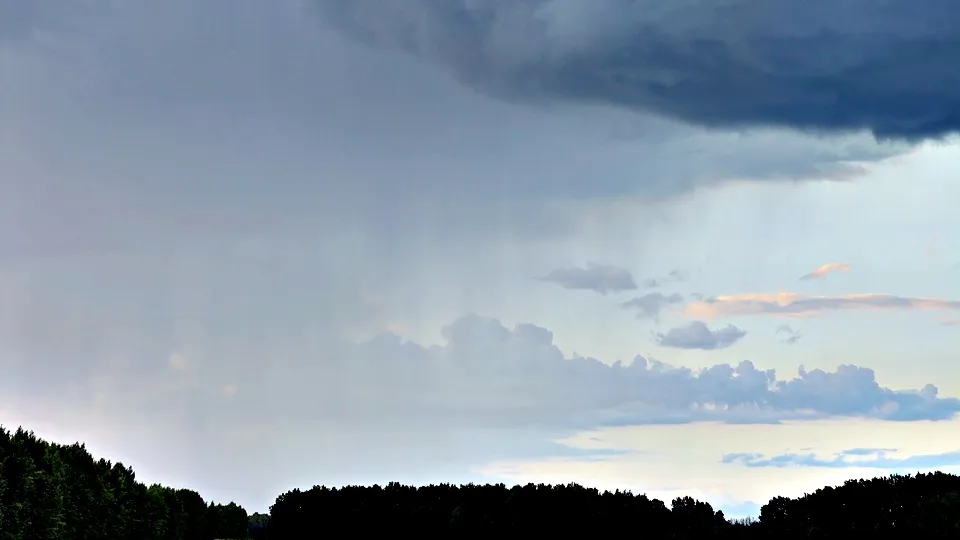 Фото: REGIONS/Алексей Селиверстов