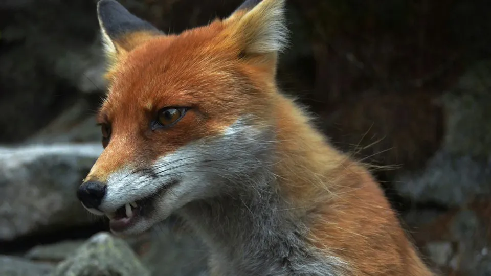 Фото: unsplash.com