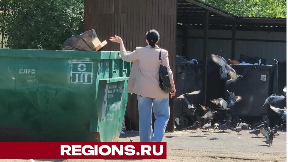 Фото: REGIONS/Юлия Смагринская