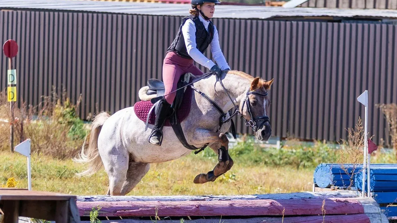 Фото: t.me/shorBelka